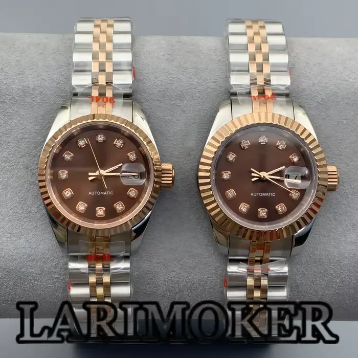 Montre mécanique automatique BLIGER pour femme, cadran marron, mouvement NH05, bracelet acier inoxydable, résistance à l'eau 10 barres, pour occasions spéciales et tous les jours