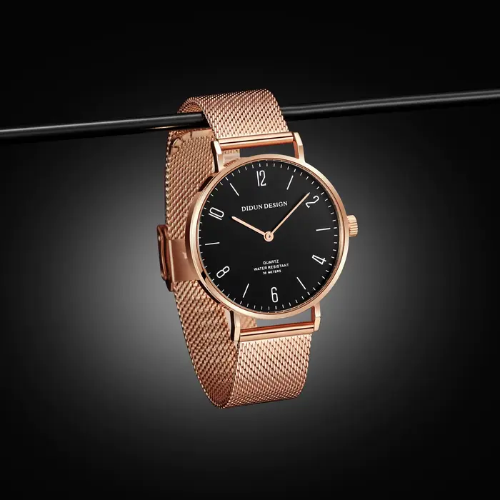 Montres mécaniques haut de gamme DIDUN, montres de luxe