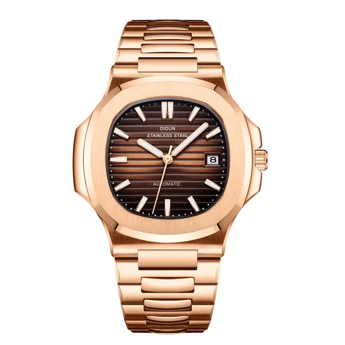 DIDUN – montre de luxe pour hommes