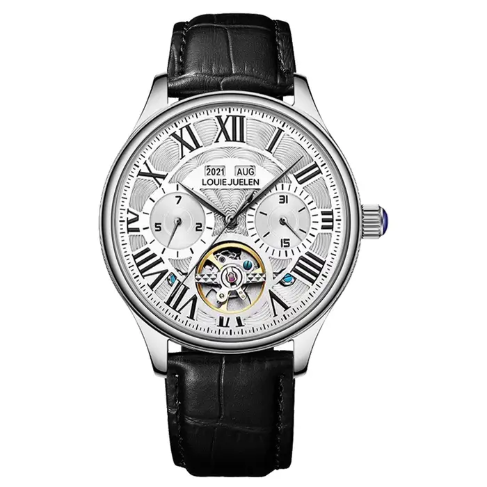Montre mécanique automatique à remontage automatique pour homme, en acier inoxydable, avec affichage