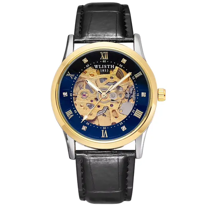 Montre mécanique automatique pour homme, montres de luxe, étanches, squelette, vente en gros, montre