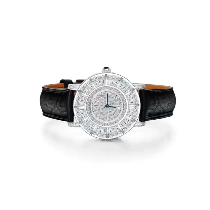 Montre-bracelet à quartz étanche