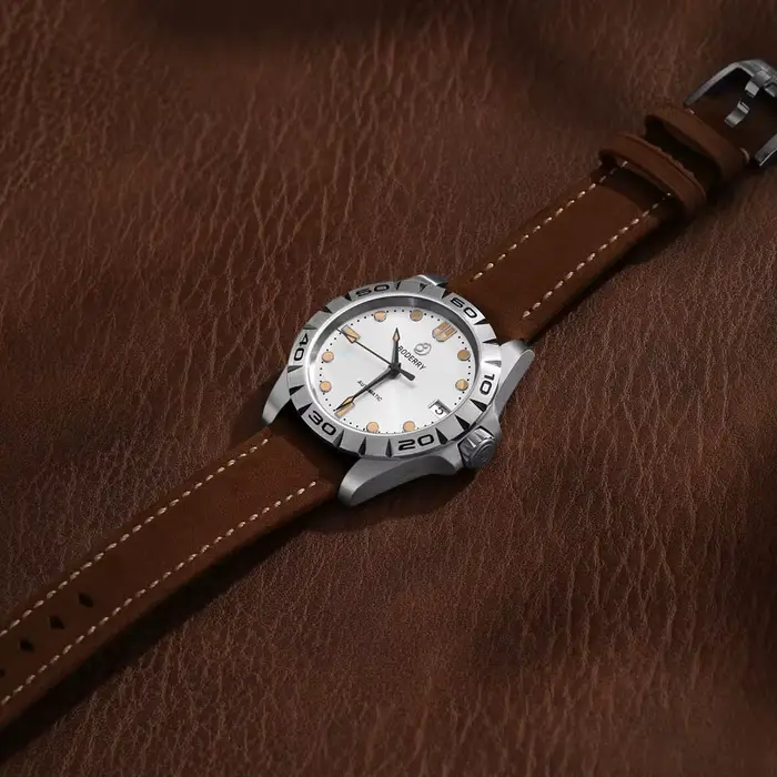 Montre BODERRY en titane avec mouvement automatique pour homme résistante à l'eau et lumineuse pour différentes occasions élégantes et sportives
