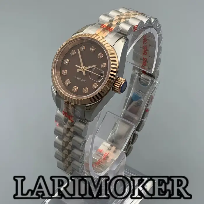 Montre mécanique automatique BLIGER pour femme, cadran marron, mouvement NH05, bracelet acier inoxydable, résistance à l'eau 10 barres, pour occasions spéciales et tous les jours
