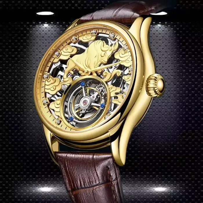 AESOP véritable Tourbillon squelette montre pour hommes haut de gamme montres mécaniques de luxe étanche saphir magasin