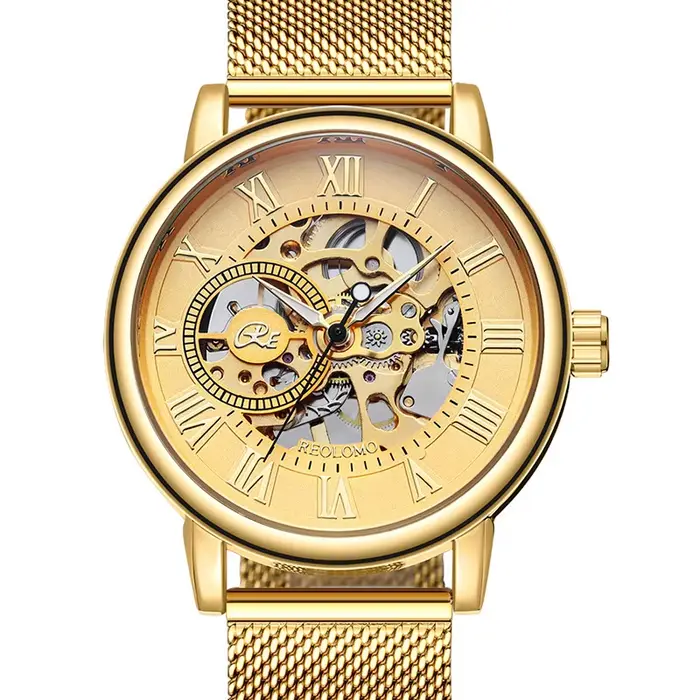 Montre mécanique homme marque de luxe squelette bracelet acier inoxydable pour homme ocassions spéciales style élégant durable