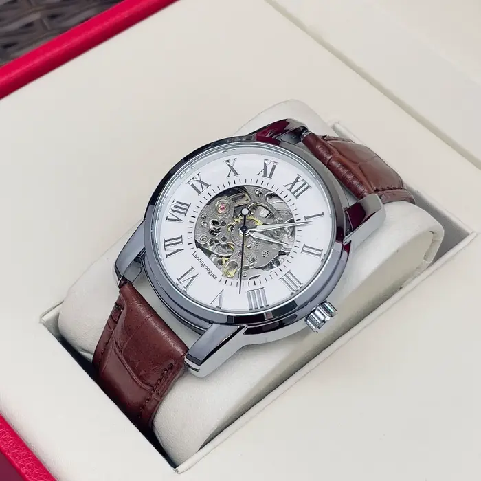 Montre mécanique automatique pour homme : Montre mécanique automatique pour homme, élégante, de luxe