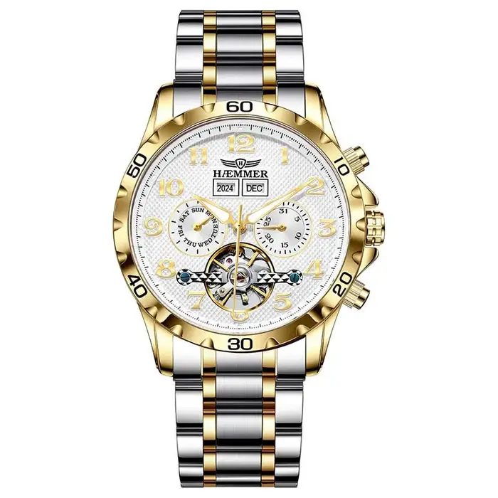 Montre mécanique multifonction automatique homme acier inoxydable résistante à l'eau avec calendrier et affichage semaine élégante multifonctionnelle pour homme occasions spéciales