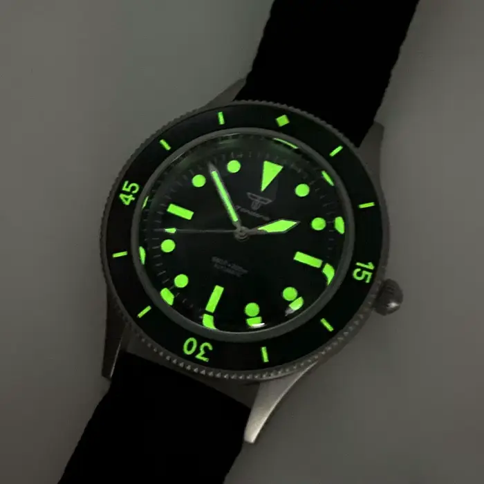 Tandorio 20ATM 50-Fathoms Miyota 8215 rétro automatique mécanique plongeur montre pour hommes 40mm verre saphir lumineux 120 clics lunette