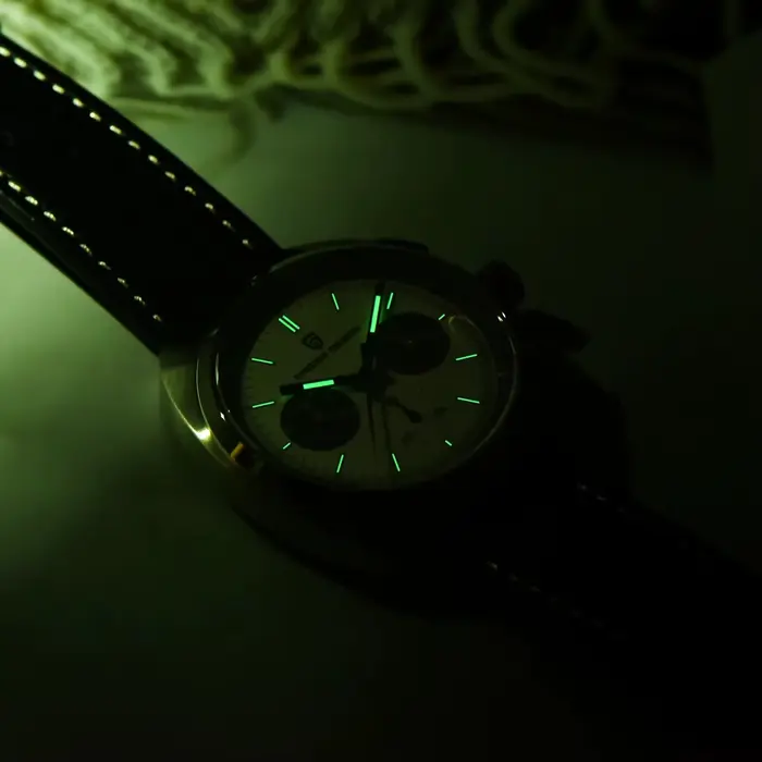 Nouvelle Montre Homme PAGANI DESIGN Panda 2026