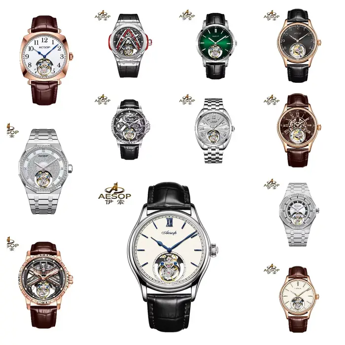 Montre Aesop 100% Tourbillon pour homme