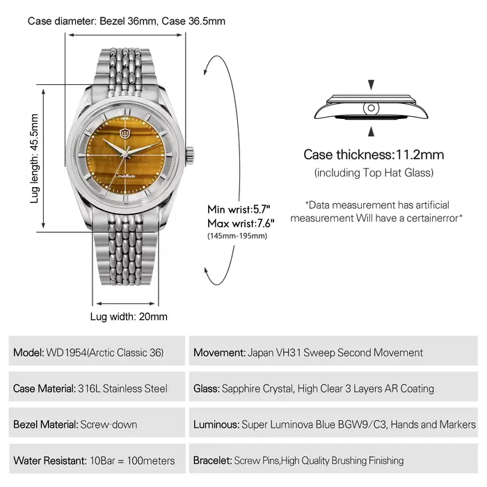 Montre homme Watchdives WD1954 avec cadran en pierre d'oeil de tigre édition limitée résistante à l'eau pour homme quartz acier inoxydable occasionnels plongeurs et explorateurs