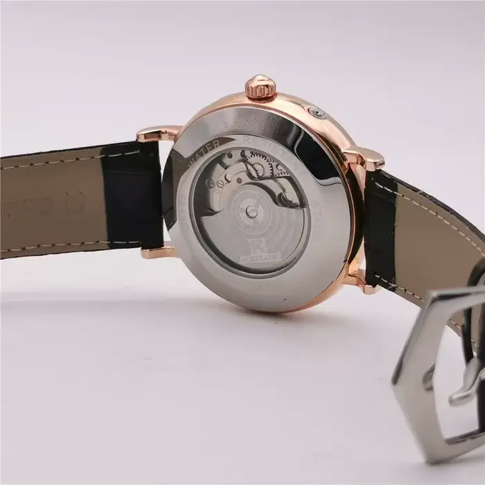Montre mécanique de luxe haut de gamme pour homme