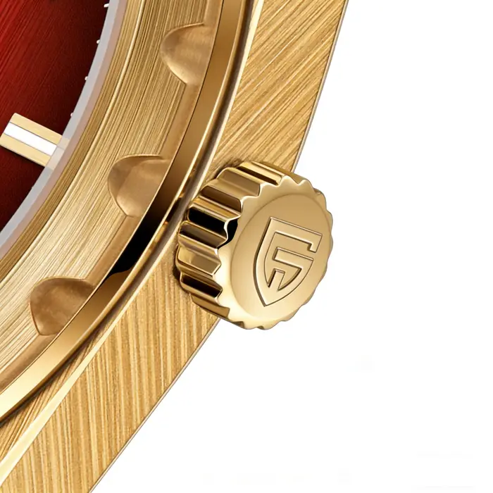 Montre de luxe pour homme PAGANI DESIGN 2026 PDYS020