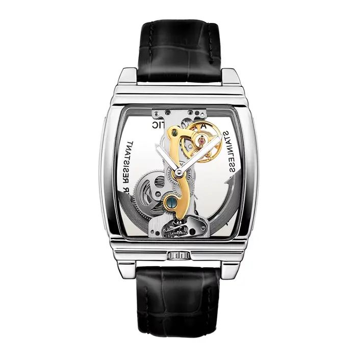 Montres pour hommes SHENHUA