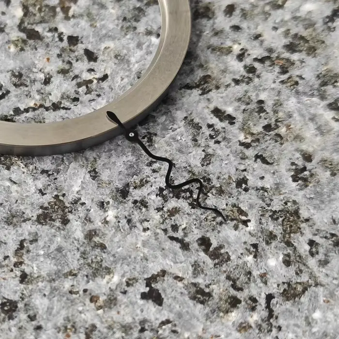 Montre en forme de serpent S