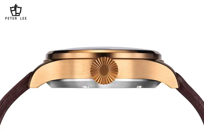 Marque de luxe PETER LEE mouvement automatique mécanique pilote montres pour homme élégant lumineux aviateur cuir mâle cadeaux montre