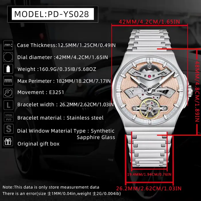 PAGANI DESIGN YS028 Tourbillon montre pour hommes verre saphir creux mécanique montre-bracelet en acier inoxydable