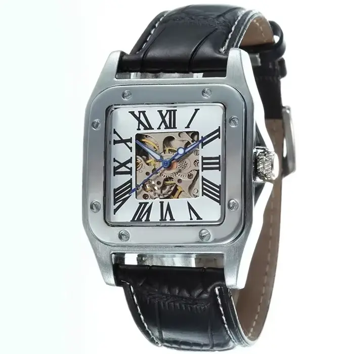 Montre mécanique automatique pour hommes