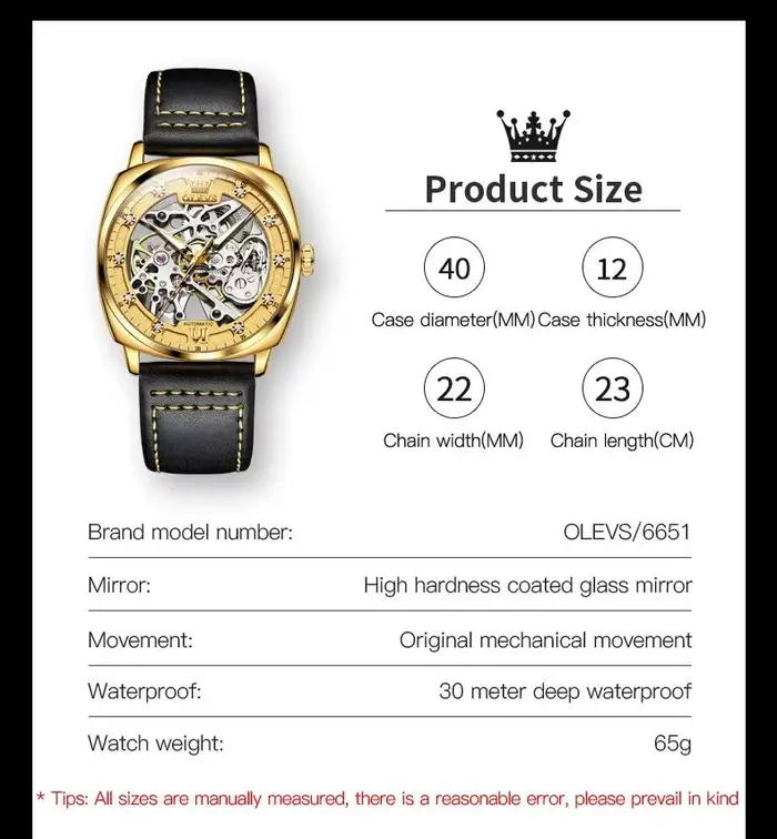 OLEVS 6651 montre pour hommes classique automatique