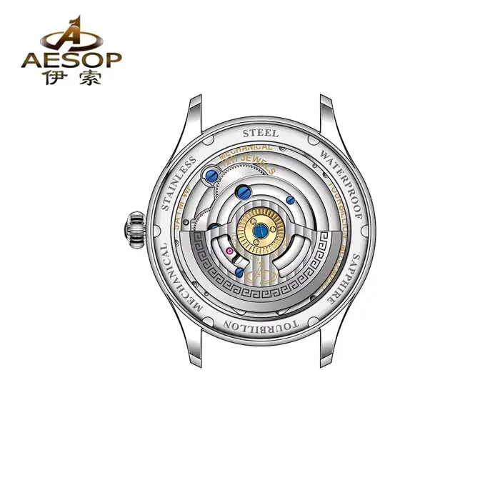 AESOP Tourbillon automatique montres mécaniques édition limitée hommes mouvement à remontage manuel montres-bracelets en cuir/acier inoxydable