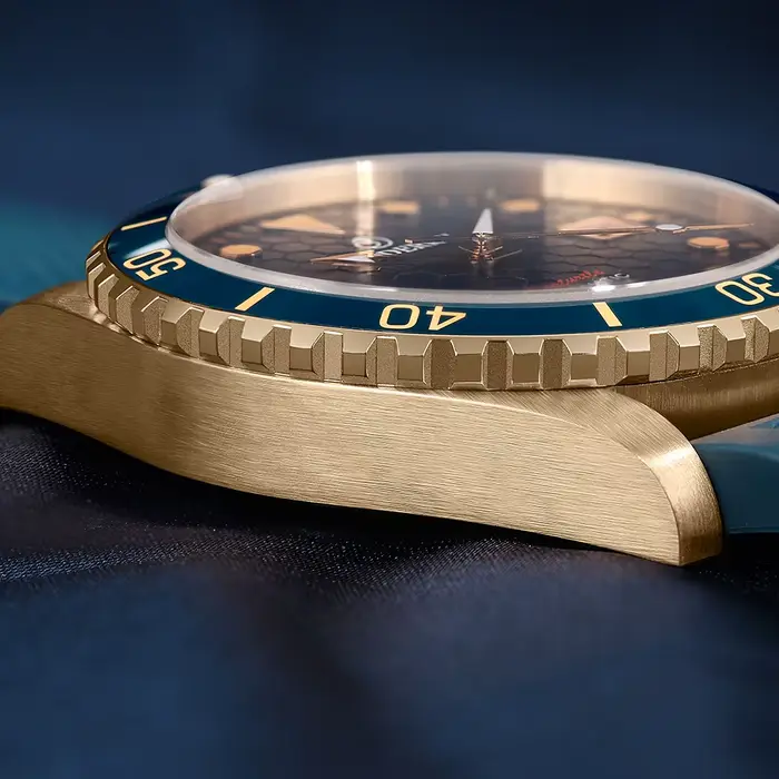 Boderry montre en Bronze Seaturtle titane plongeur montre-bracelet de luxe automatique mécanique