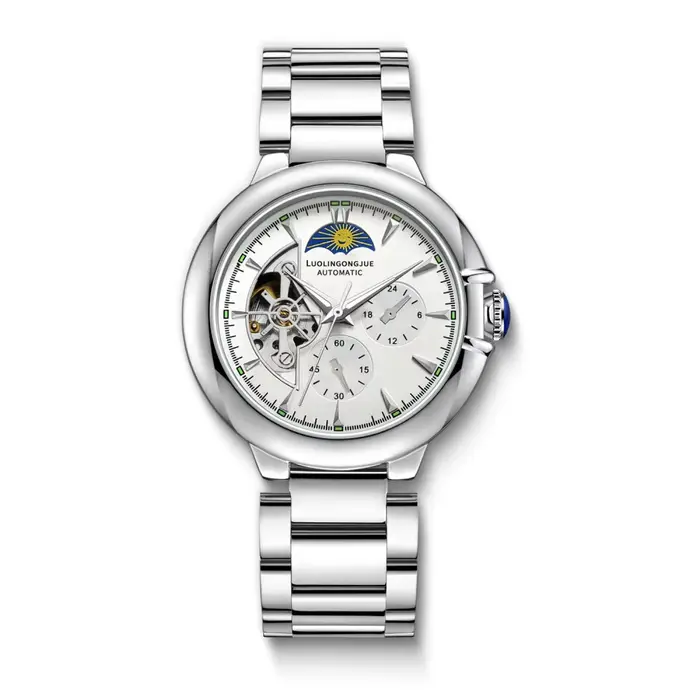Montre mécanique automatique squelette haut de gamme pour homme, montre-bracelet professionnelle, mo