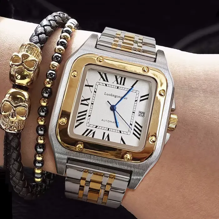 Montre mécanique de luxe haut de gamme pour homme