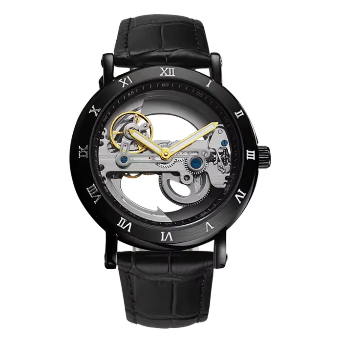Montres-bracelets mécaniques pour hommes montres pont doré squelette automatique mécanique montre po